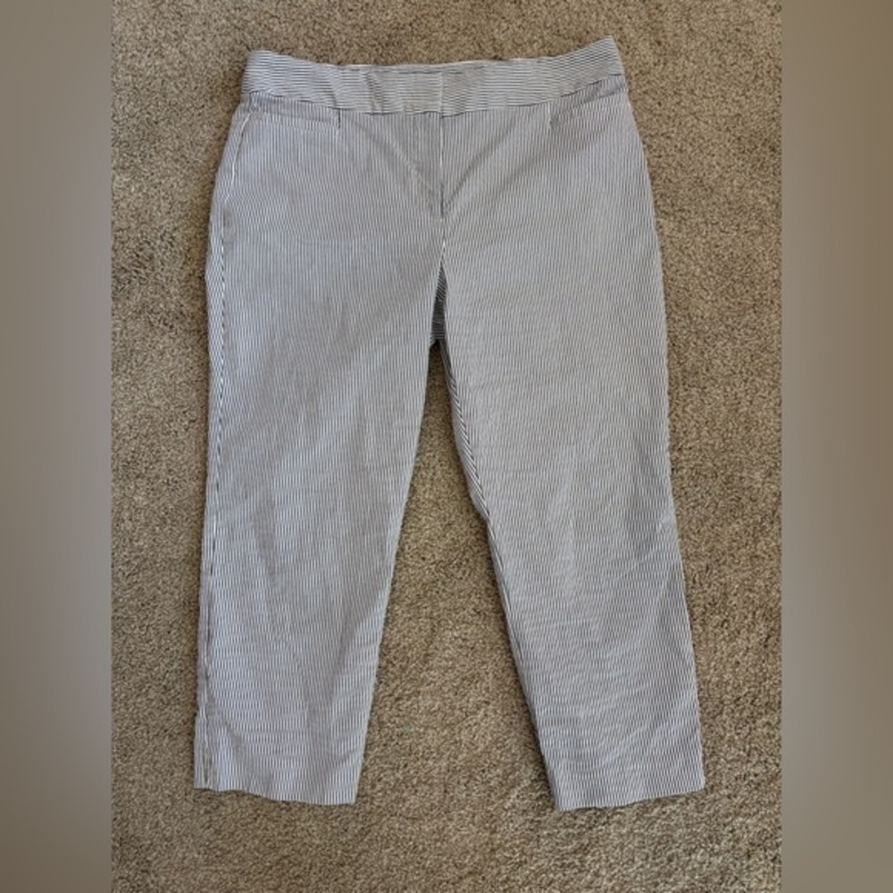 Ann Taylor Factory Women’s Pants - Picture 1 of 6